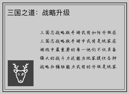 三国之道：战略升级